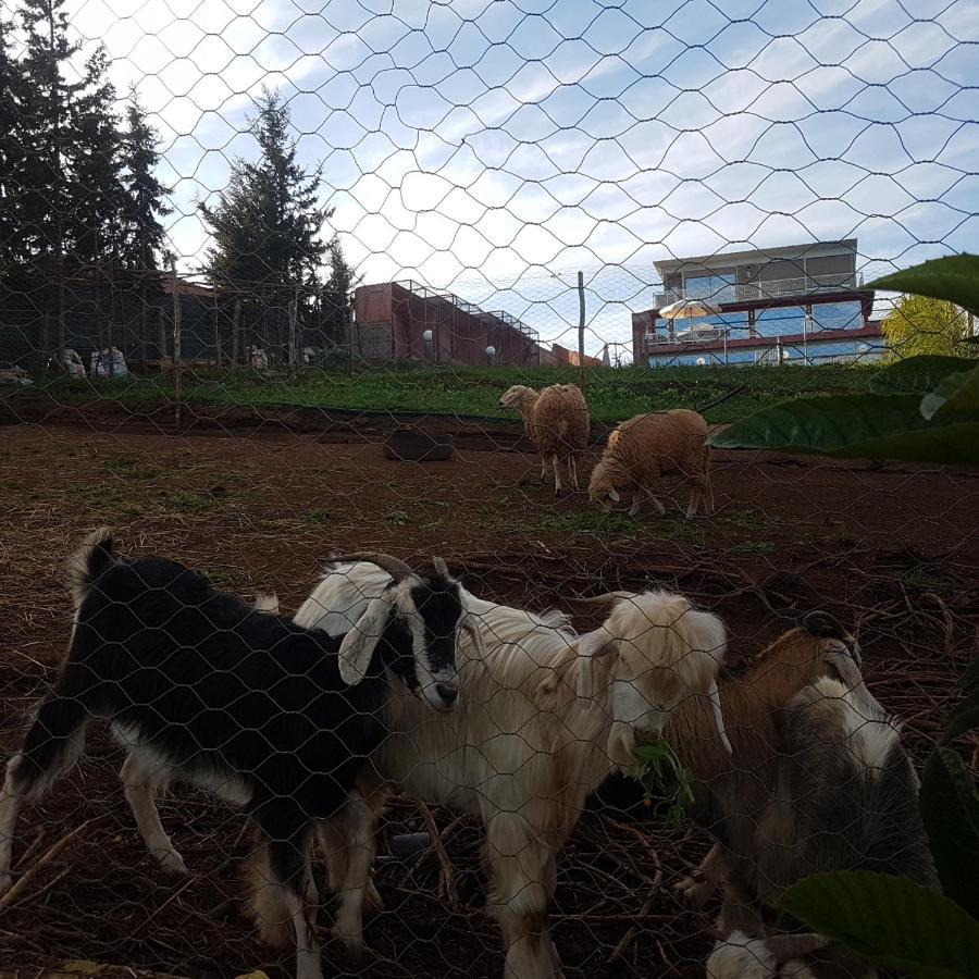 דירות Oulad Yakoub Ferme Bouhouch מראה חיצוני תמונה