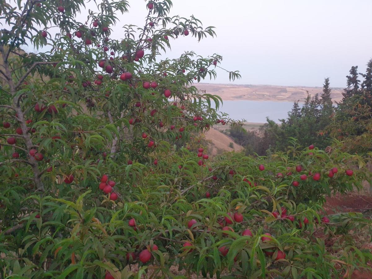 דירות Oulad Yakoub Ferme Bouhouch מראה חיצוני תמונה